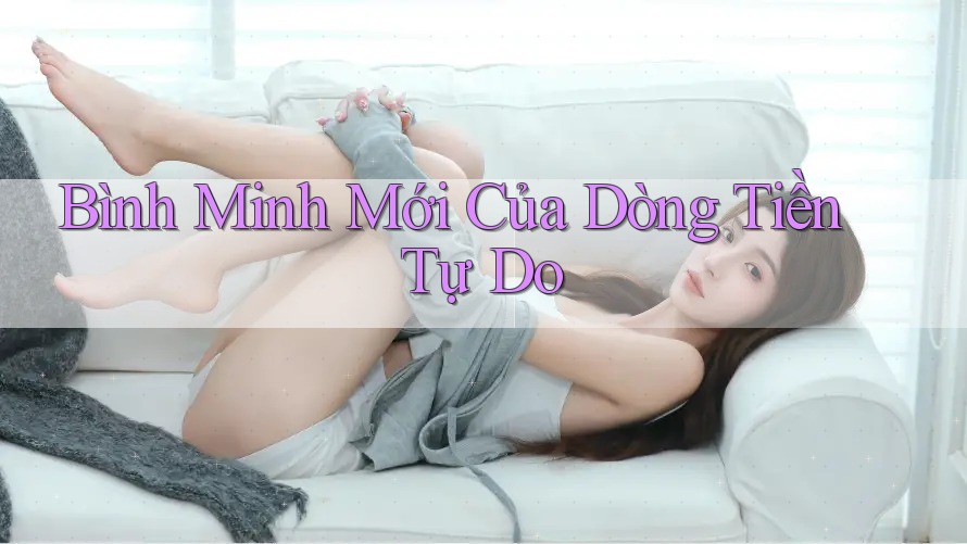 Bình Minh Mới Của Dòng Tiền Tự Do