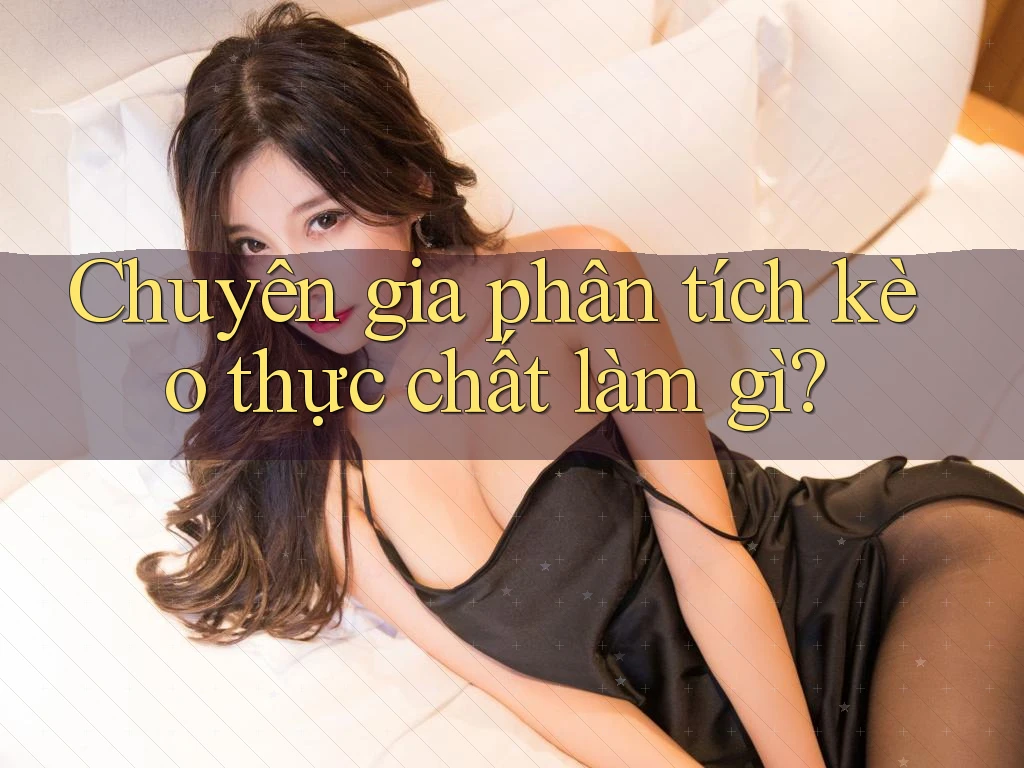 Chuyên gia phân tích kèo thực chất làm gì?