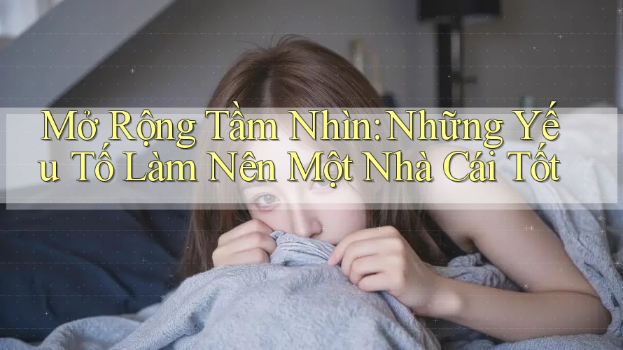 Mở Rộng Tầm Nhìn: Những Yếu Tố Làm Nên Một Nhà Cái Tốt