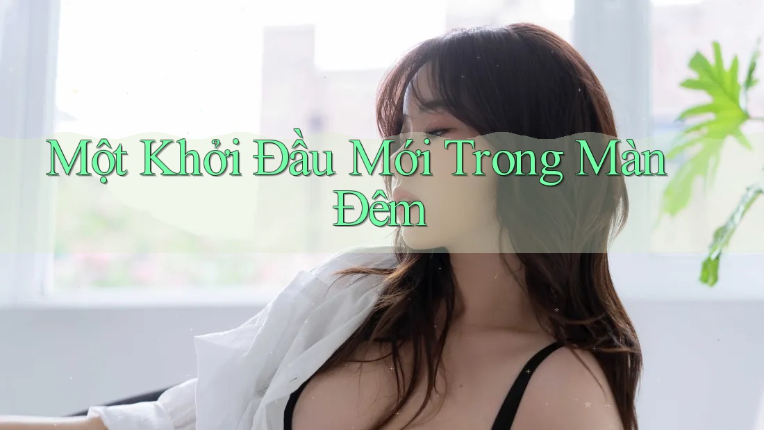 Một Khởi Đầu Mới Trong Màn Đêm