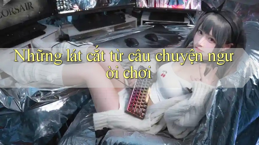 Những lát cắt từ câu chuyện người chơi
