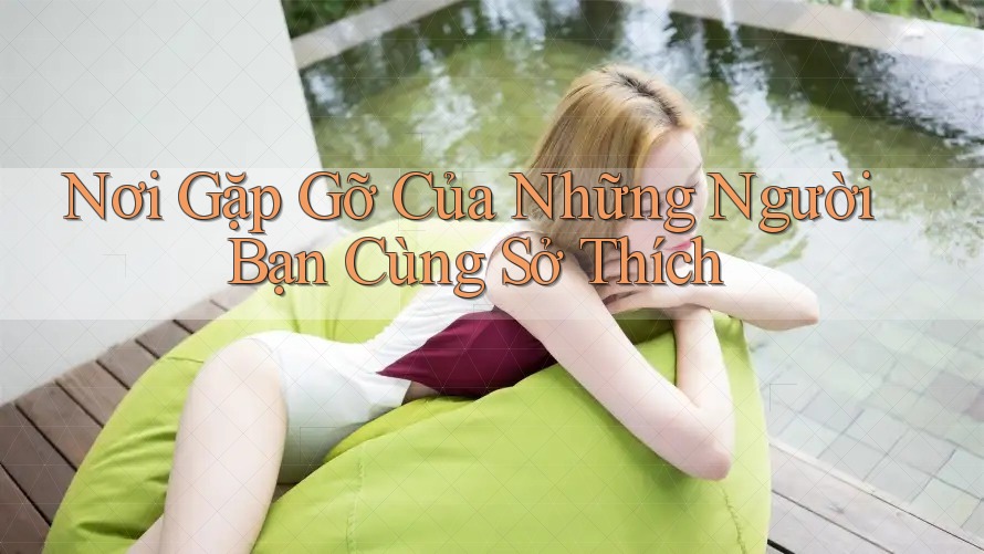Nơi Gặp Gỡ Của Những Người Bạn Cùng Sở Thích